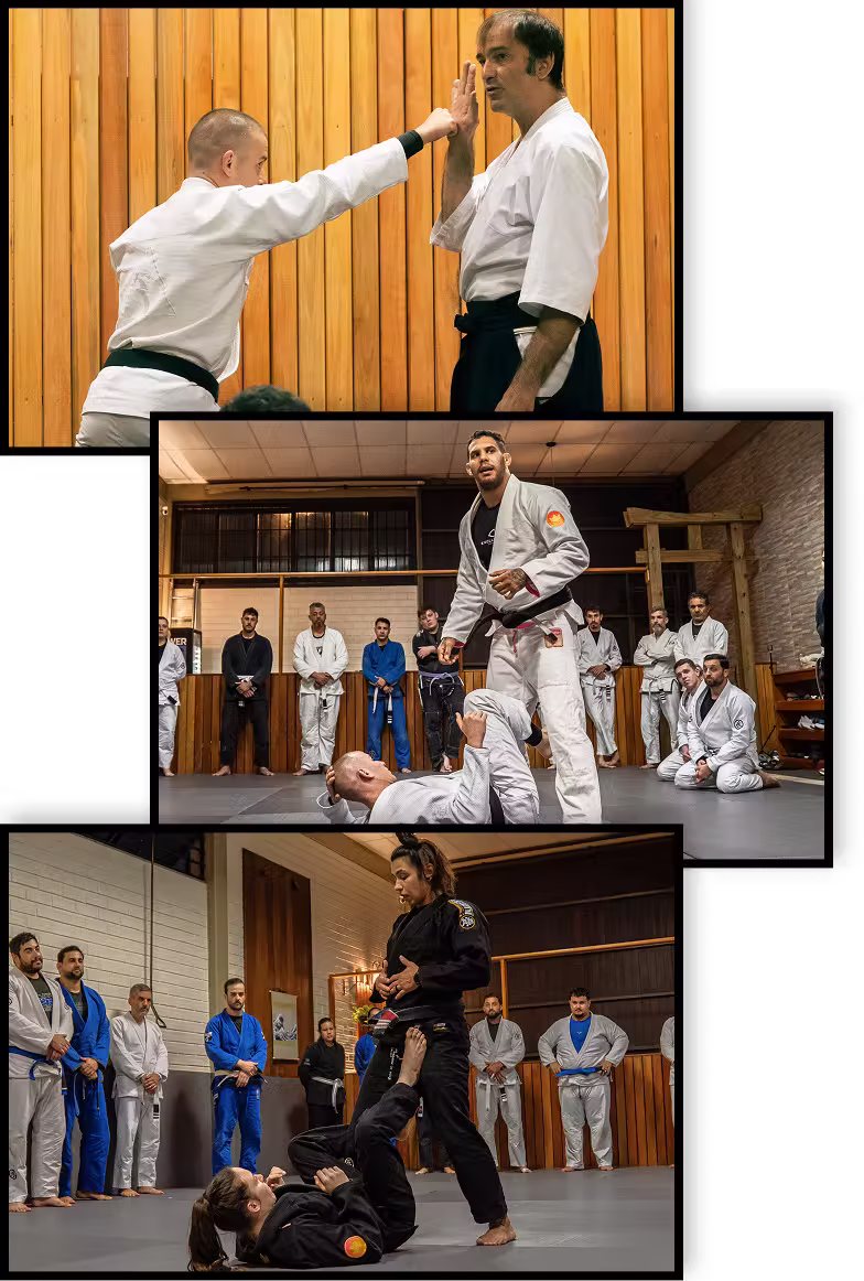 Três fotos mostrando momentos de seminários e convidados.
